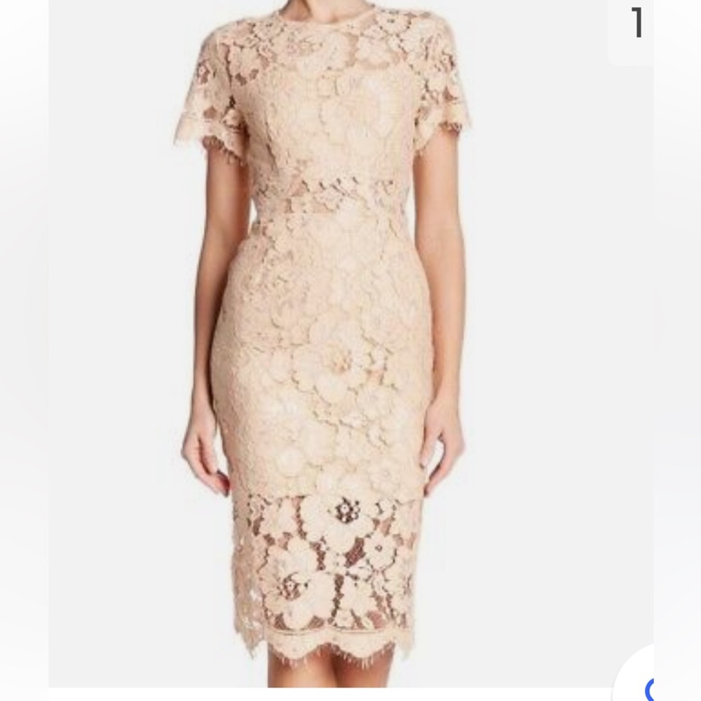 NSR Lace Short Sleeves MIDI Sheath women’s Dress - Picture 4 of 11